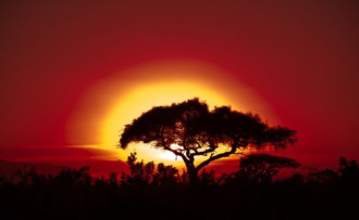 Zambia beelőzi a világot? Generatív mesterséges intelligencia az oktatásban
