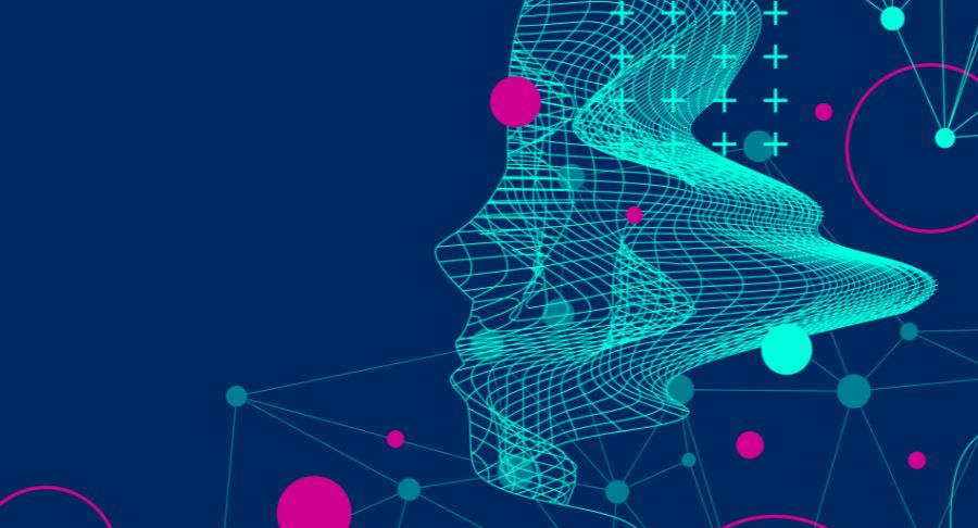 mi_szabalyozas_torzs