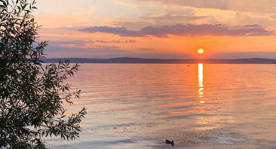 kkv_balaton_torzs