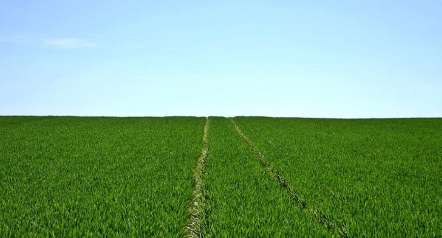 Nemcsak a gazda sz&uacute;rja ki &ndash; itt a garant&aacute;ltan gyomirt&oacute; mesters&eacute;ges intelligencia-modell