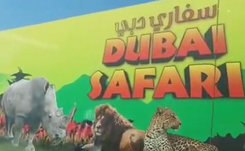 Új szafaripark nyílik Dubai-ban az év végéig