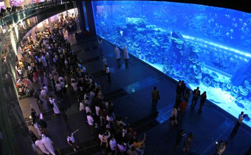 A Dubai Aquarium bekerült a világ 25 legjobb állatkertje közé